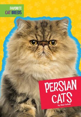 Persian Cats (Favorite Cat Breeds)
