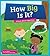 How Big Is It?: A Book about Adjectives (Say What?: Parts of Speech)