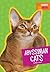 Abyssinian Cats (Favorite Cat Breeds)