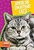 American Shorthair Cats (Favorite Cat Breeds)
