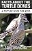 Facts About The Turtle Doves (A Picture Book For Kids 41)