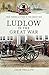 Ludlow in the Great War (Your Towns & Cities in the Great War)