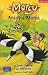 Magpie Mania by Susan Halliday
