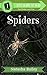 Spiders by Natasha Bailey