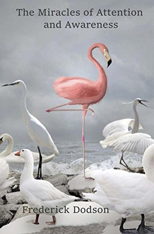 The Miracles of Attention and Awareness (Kindle Edition)