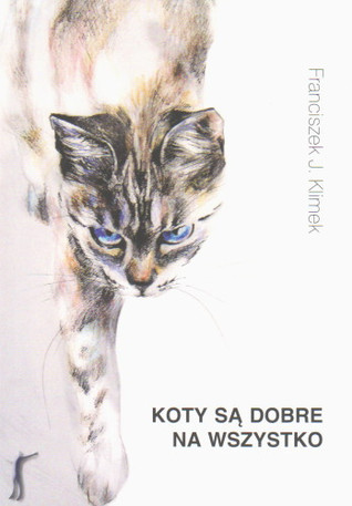 Koty są dobre na wszystko