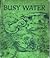 Busy Water