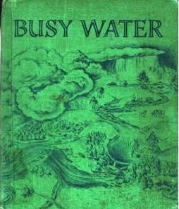 Busy Water