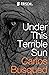 Under This Terrible Sun