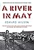 A River in May by Edward Wilson