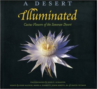 A Desert Illuminated: Cactus Flowers of the Sonoran Desert (Hardcover)