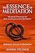 The Essence of Meditation: Advanced Practices for New and Experienced Meditators