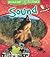 Sound by Sally Hewitt