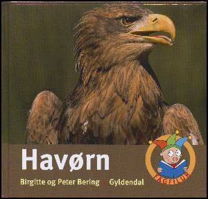 Havørn (Fagfilur)