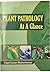 Plant Pathology At A Glance by Bhattacharya Utpal Kumar