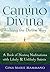 Camino Divina—Walking the Divine Way: A Book of Moving Meditations with Likely and Unlikely Saints