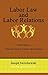 Labor Law & Labor Relations ~ A Practical Guide to Federal La... by Joseph Swerdzewski