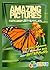 Amazing Pictures and Facts About Butterflies: The Most Amazing Fact Book for Kids About Butterflies