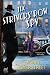 The Strivers Row Spy (Thorndike Press large print African American)
