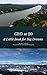 CEO at 20: A Little Book fo...
