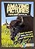 Amazing Pictures and Facts About Buffaloes: The Most Amazing Fact Book for Kids About Buffaloes