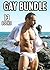Gay Bundle - 13 Stories