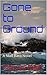 Gone to Ground (The Niall Bard Series #6)