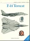 F-14 Tomcat by Lindsay T. Peacock