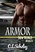 Armor (New World)