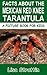 Facts About The Mexican Red Knee Tarantula (A Picture Book For Kids 98)