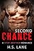 Second Chance: A New Adult Step-Sibling