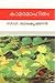കാമമോഹിതം | Kamamohitham by സി.വി. ബാലകൃഷ്ണൻ | C.V. Bal... കാമമോഹിതം | Kamamohitham by സി.വി. ബാലകൃഷ്ണൻ | C.V. Bal...