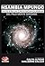 NSAMBIA MPUNGO: DIOS EN LA CREENCIA CUBANA DEL PALO MONTE MAYOMBE (Colección Maiombe nº 4) (Spanish Edition)
