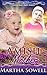 Amish Mother (Amish Baby Ho...