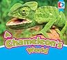 A Chameleon's World (Eyediscover, 2)