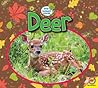 Deer (Little Backyard Animals)
