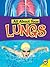 All About Your Lungs