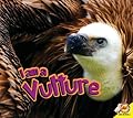 I am a Vulture