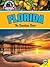 Florida: The Sunshine State (Discover America)