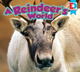 A Reindeer's World (Eyediscover)