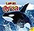 I am an Orca