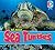 All About Sea Turtles (Eyediscover)