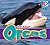 All About Orcas (Eyediscover, 6)