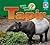 Tapir (Animals of the Amazon Rainforest)
