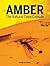 Amber: The Natural Time Capsule