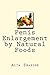 Penis Enlargement by Natural Foods by Alia Sharone