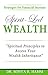 Spirit-Led Wealth: Spiritual Principles to Access Your Wealth Inheritance