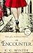 The Encounter (Diary of an American Dreamer Romance Series Book 4)