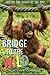 Bridge to the Wild: Behind the Scenes at the Zoo