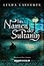 Im Namen der Sultanin (German Edition)